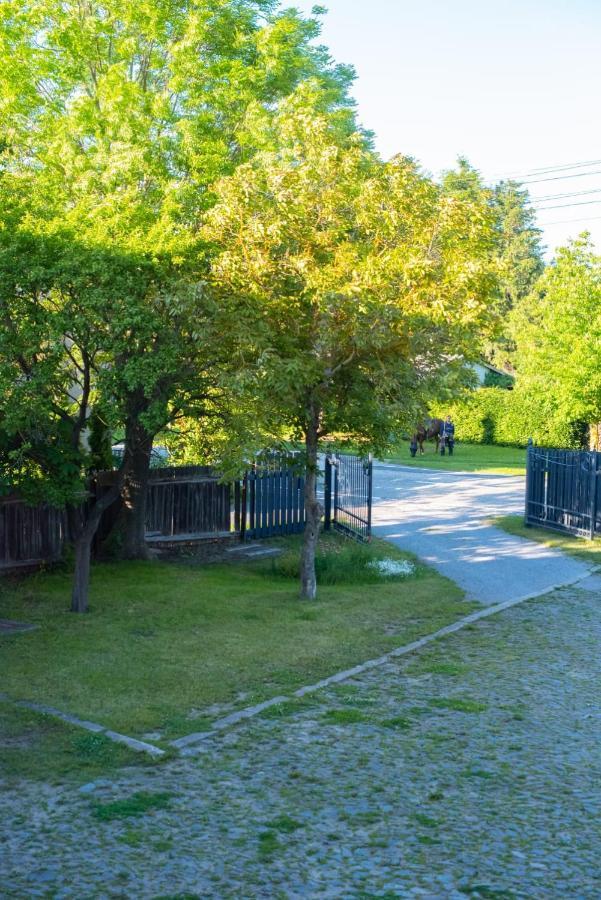 Willa Ferienhaus Brockenblick Hüttenrode Zewnętrze zdjęcie